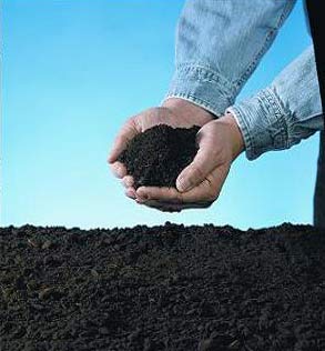 EcoAg Initiatives - The Benefits Of Compost